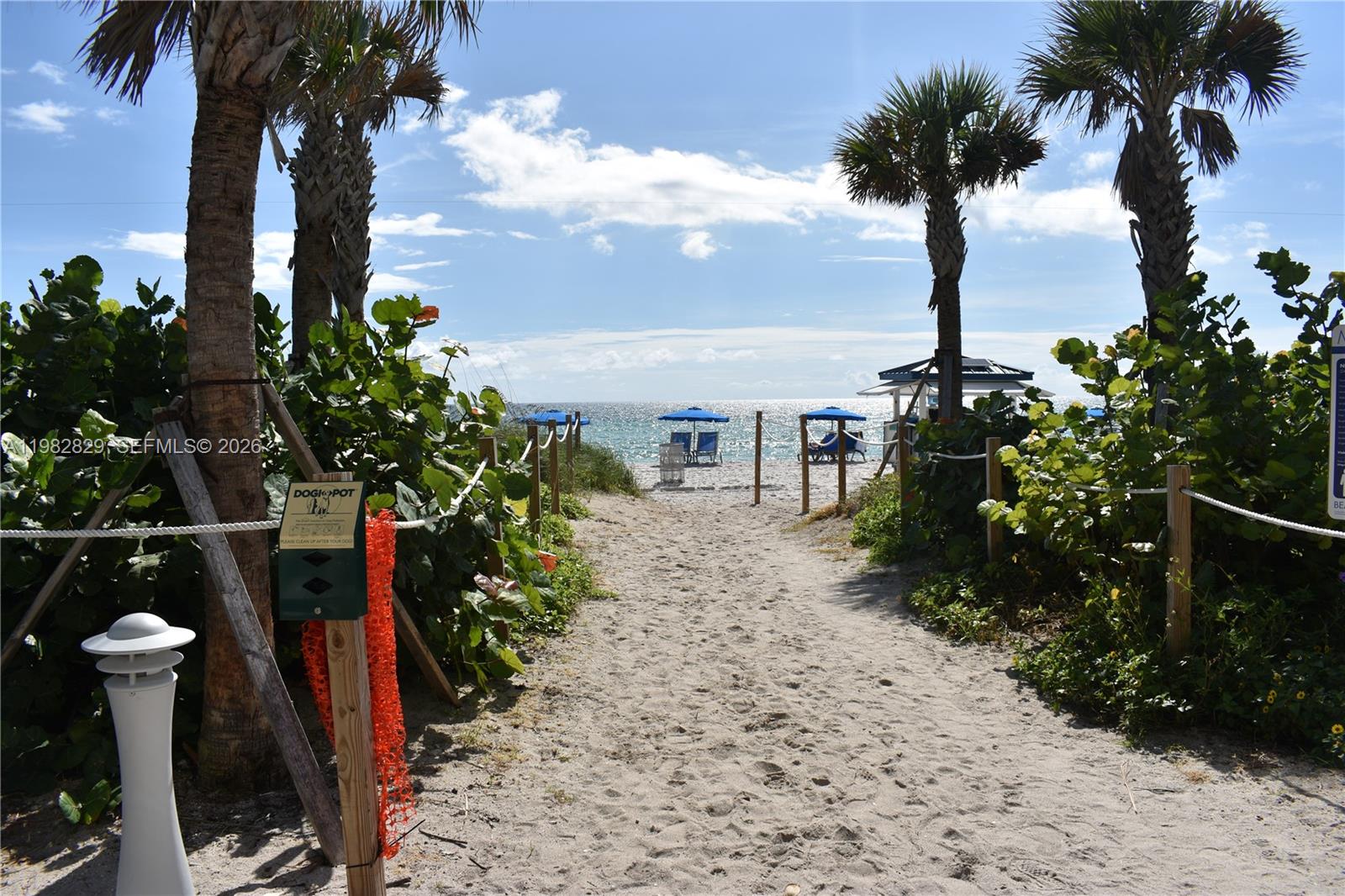 6365 Collins Ave 2106