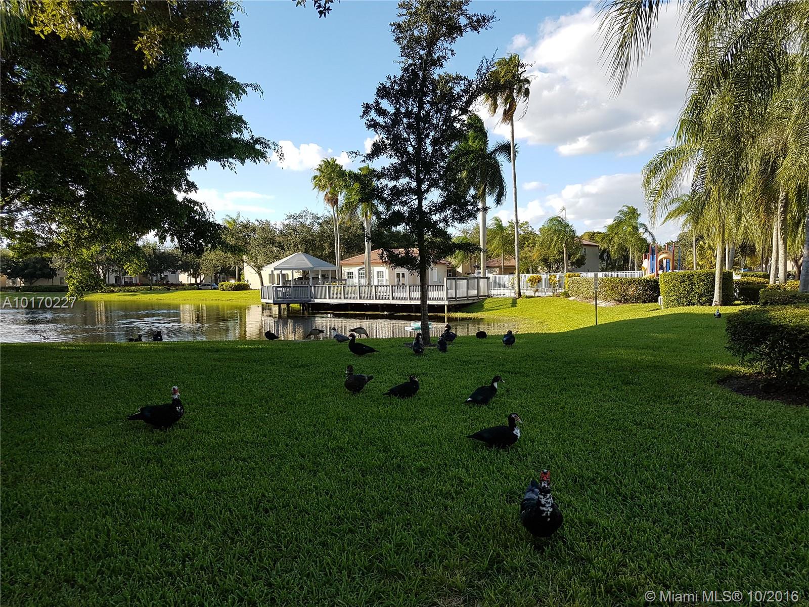 Emerald Courts - Opal Cre - Residential Lease