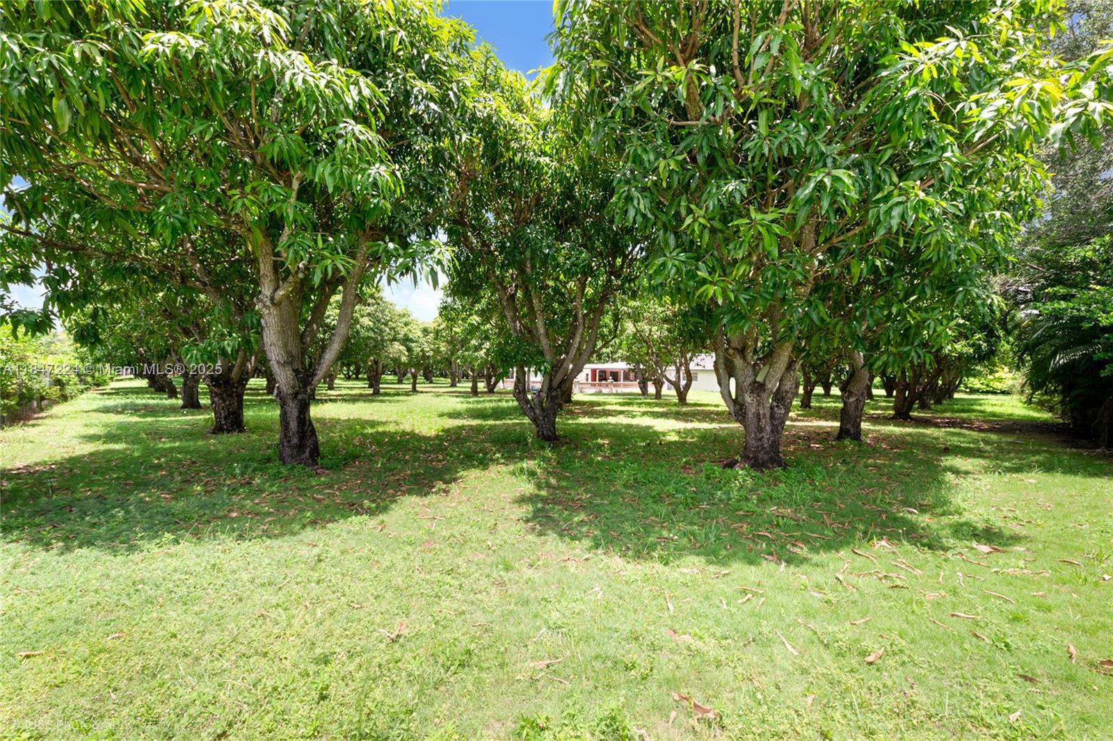 PERRINE GRANT SUB - Land