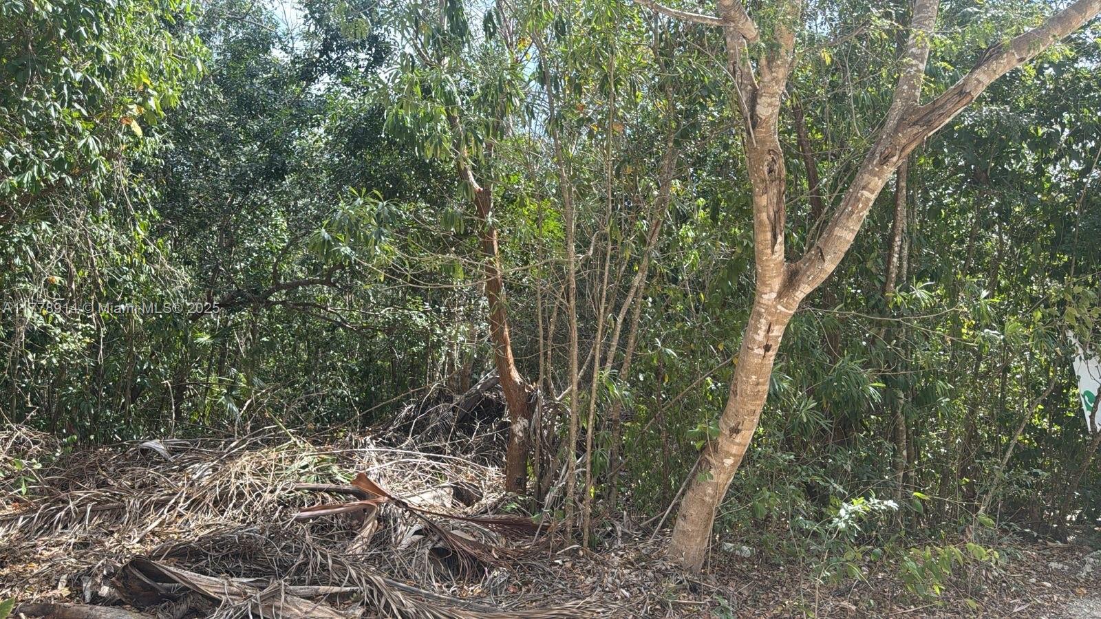 This 1,000 m² (20x50) lot in Supermanzana 307, Manzana 406 Calle Mario E. Villanueva Del Poblado Alfredo V. Bonfil, Benito Juárez, Quintana Roo, Mexico is a prime location for residential or commercial development. Positioned near major roads like Avenida Huayacán Chac Mool and Luis Donaldo Colosio, it's just 20 minutes from local beaches and 15 minutes from Cancun International Airport. The lot is directly across from Centro HolÃstico de OMA and surrounded by growing developments such as VÃas Cumbres Residenciales and Zienna Lotes Residenciales, offering excellent potential for growth and investment in a rapidly developing area.