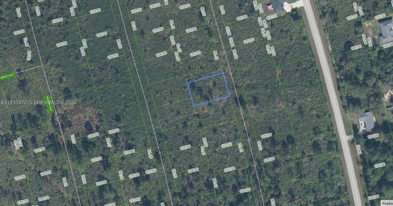 OWNER WILL FINANCE!!! Spacious lot size measuring 125 x 80 sq ft. Sun N Lakes development is building 100 acre water and sewage facility 1 block away! They are planning on building infrastructure on the properties that are closest to the facility first. Sun N Lakes community, a perfect place to build your dream home in which to raise your kids or retire. The Sun N Lakes community offers 2 18-Hole championship golf courses, restaurant, clubhouse, gym, playground, community pool, splash pad, community center, fitness center, pickle ball, and tennis. Sebring is centrally located 1.5 hours from Disney, 1.5 hours from Tampa and 1.45 hours from Ana Maria Island Beaches. Lots are going quickly! Come check it out today! OWNER WILL FINANCE!!! 1K DOWN $367.44 A MONTH FOR 36 MONTHS AT 7% INTEREST.