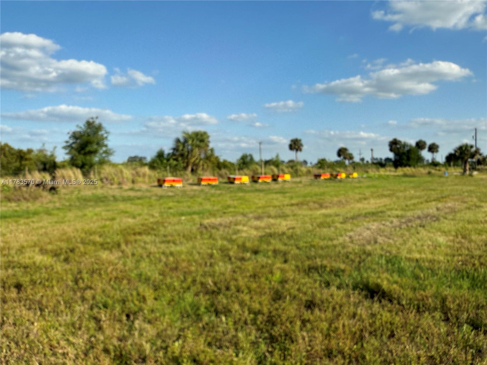 INDIAN RIVER FARMS COMPAN - Land