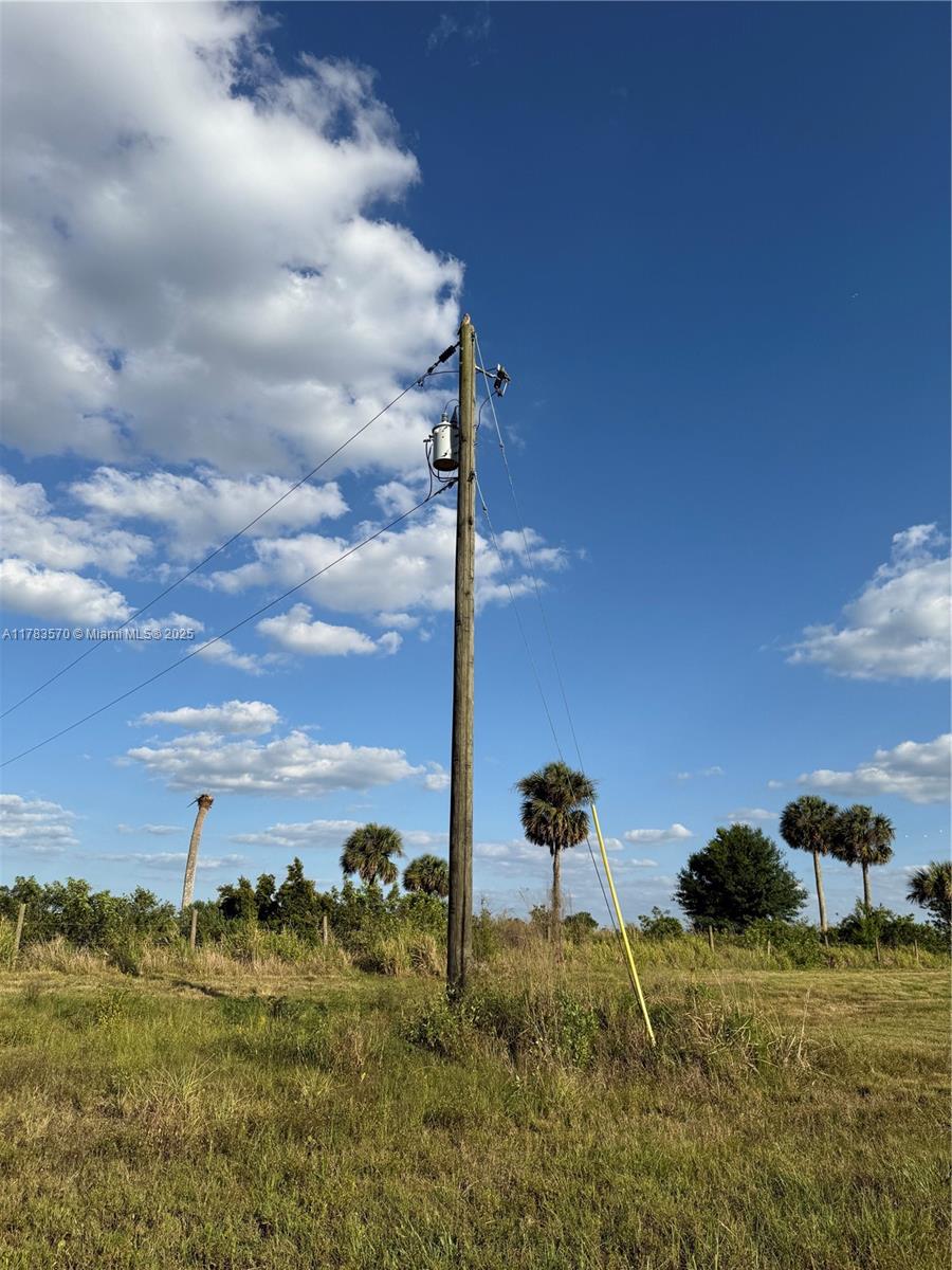 INDIAN RIVER FARMS COMPAN - Land