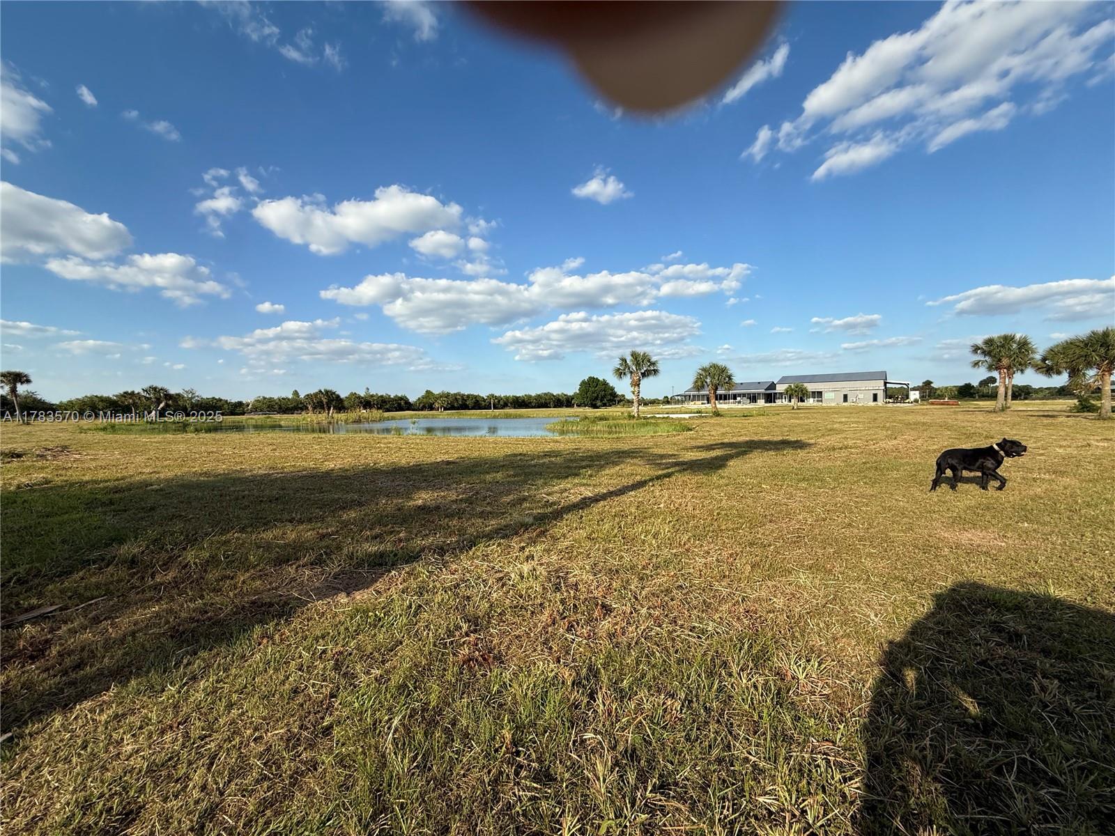 INDIAN RIVER FARMS COMPAN - Land