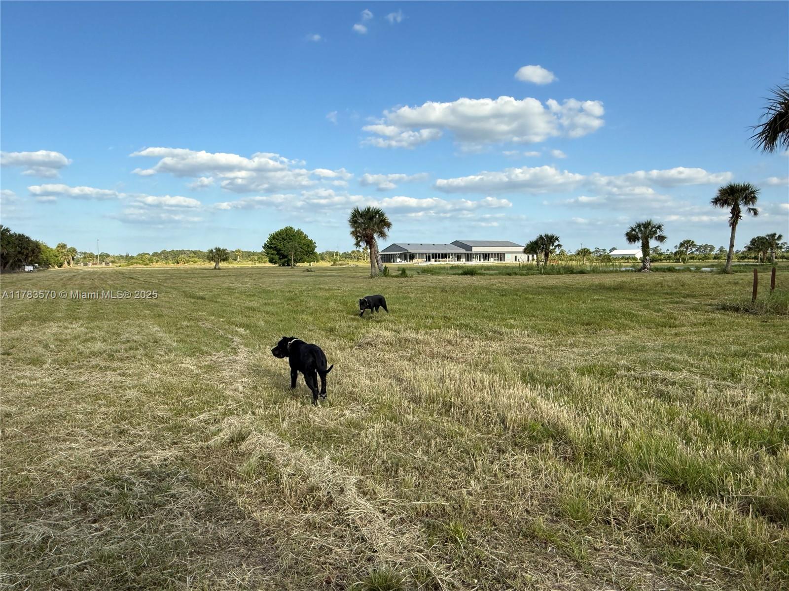 INDIAN RIVER FARMS COMPAN - Land