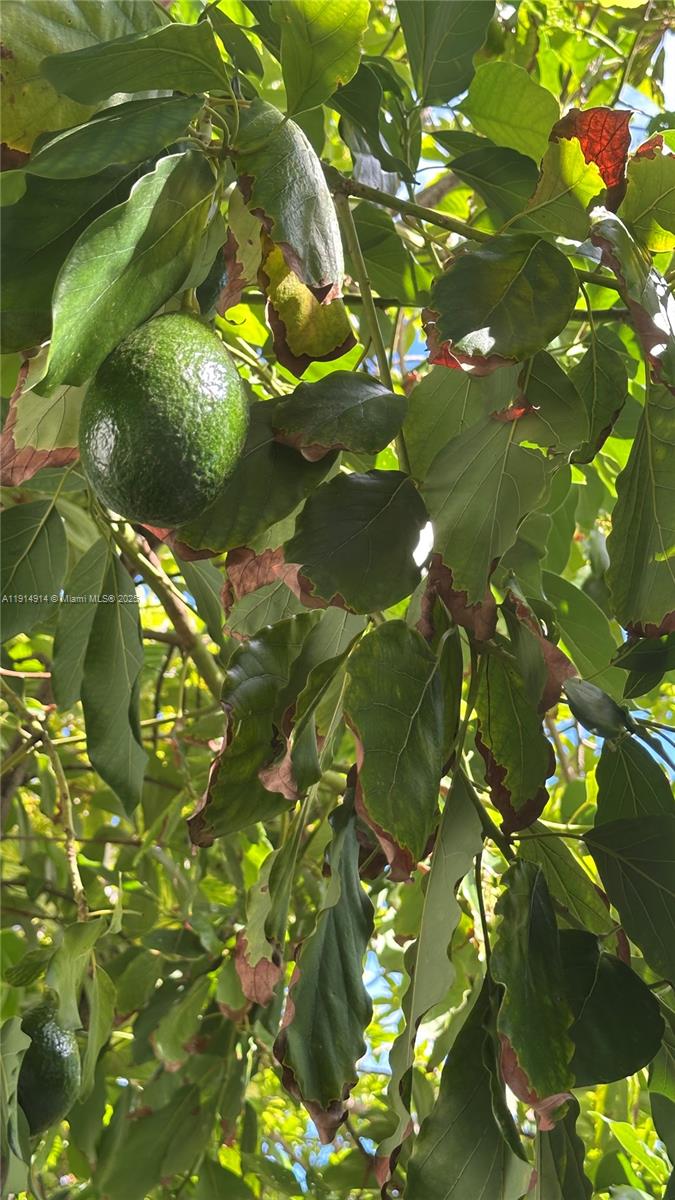 ALTOS DEL MAR NO 3 - Residential Lease