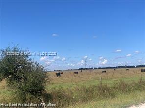 SOUTHERN COLONIZATION COMP - Land