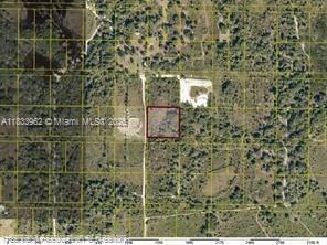 SOUTHERN COLONIZATION COMP - Land