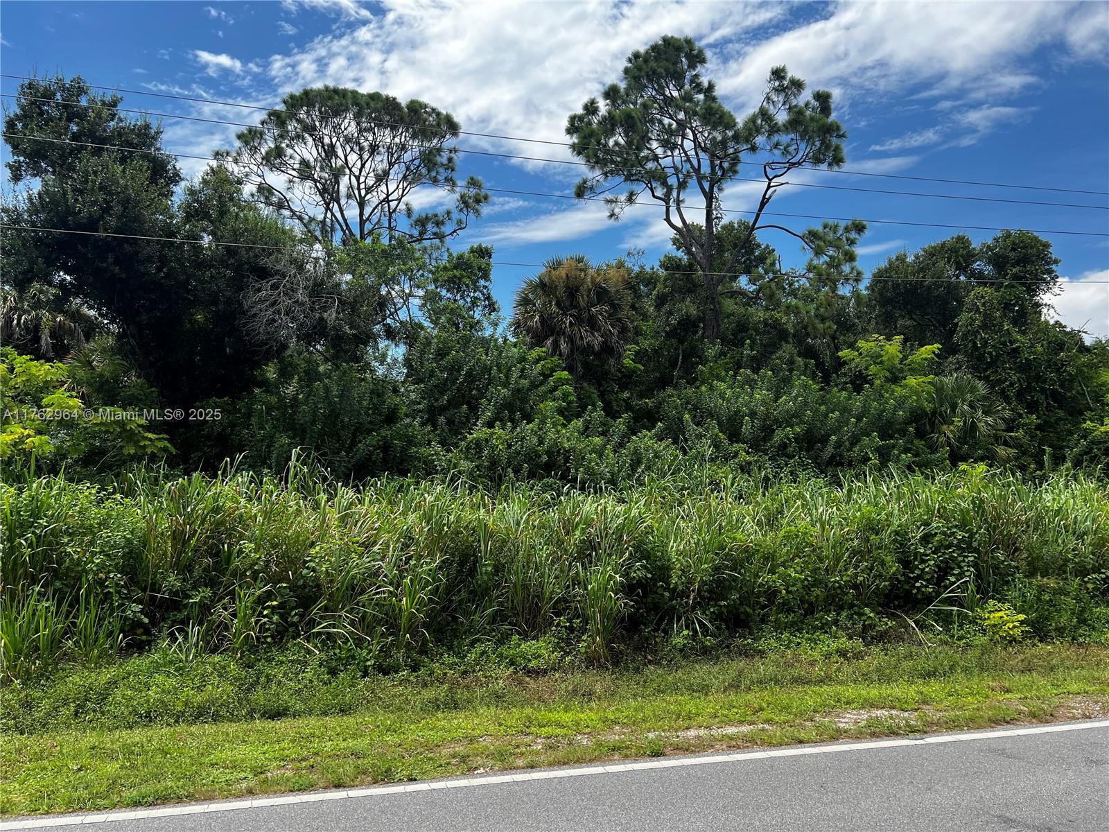 NE Cape Coral - Commercial Sale