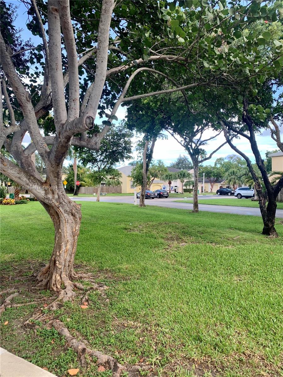 AMARETTO 1ST ADDN - Residential Lease