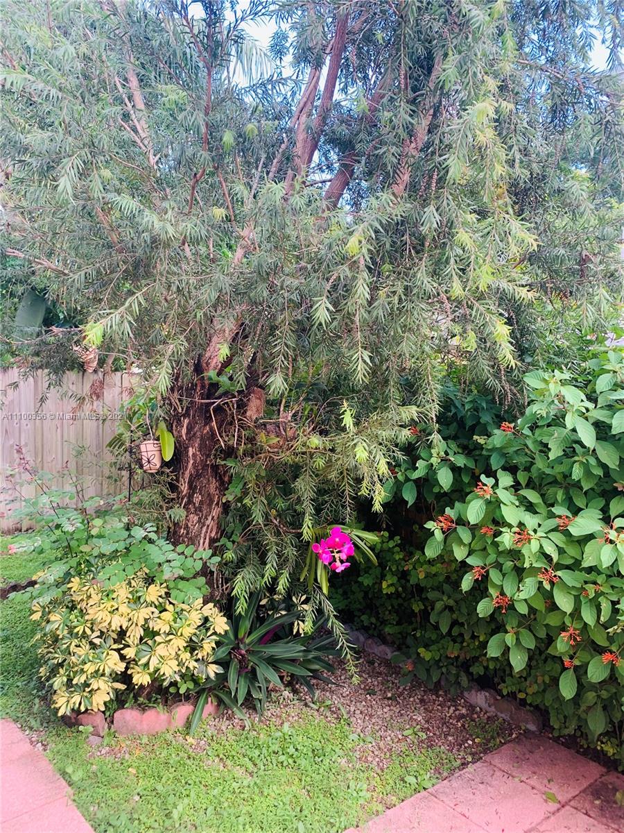 AMARETTO 1ST ADDN - Residential Lease