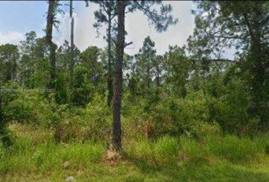 For Sale! Vacant residential lot in a growing community of Sun 'n Lake of Sebring. On a Paved road. This is a golfing community with two 18 hole championship golf courses, tennis, clubhouse, community center, and community pool. Buy for future investment or build your dream home. Close to Restaurants, Shopping, Schools, Hospital. Two more lot for sale A11757851, A11757830. Buy them separate or all 3 together.