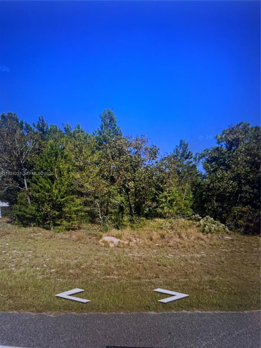 INTERLACHEN LAKES ESTATES - Land