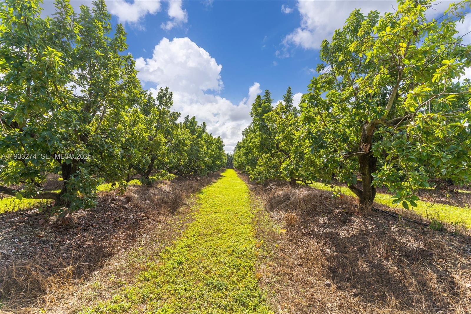 REDLAND 5 ACRE SFH - Residential