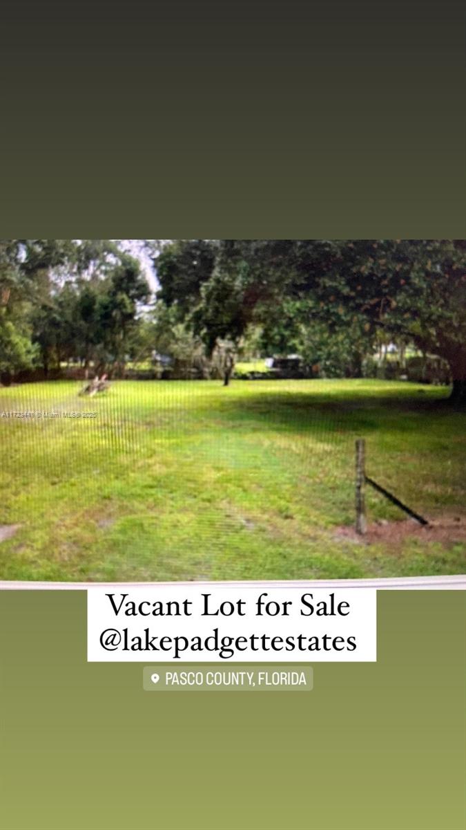 Great Opportunity to built your dream home in Pasco County ; Lake Padgett Estates in Land O Lakes Fl
Spacious 10,800 SqFT Lot (90X20) Public Utilities Available in the area with roads. Close to great schools, shopping centers and restaurants. Buyer to do their own due diligence, research and survey.