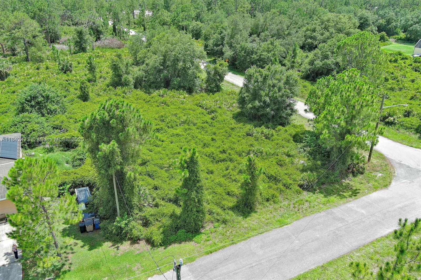 Exclusively presented by Sunland Real Estate: This is a fantastic opportunity to own a prime corner lot in the growing community of Lehigh Acres! Located at 3100 E 13th Street, this spacious 0.25-acre residential parcel offers the perfect setting to build your dream home or invest in one of Southwest Florida’s fastest-expanding areas. Situated on a paved road in a peaceful, low-traffic neighborhood, this lot features easy access to SR-82, shopping, schools, and local amenities. Surrounded by new and existing single-family homes, it's an ideal site for future development. No HOA, no flood zone, and no time limit to build—just bring your vision! Whether you’re a builder, investor, or future homeowner, this is a smart addition to your portfolio.