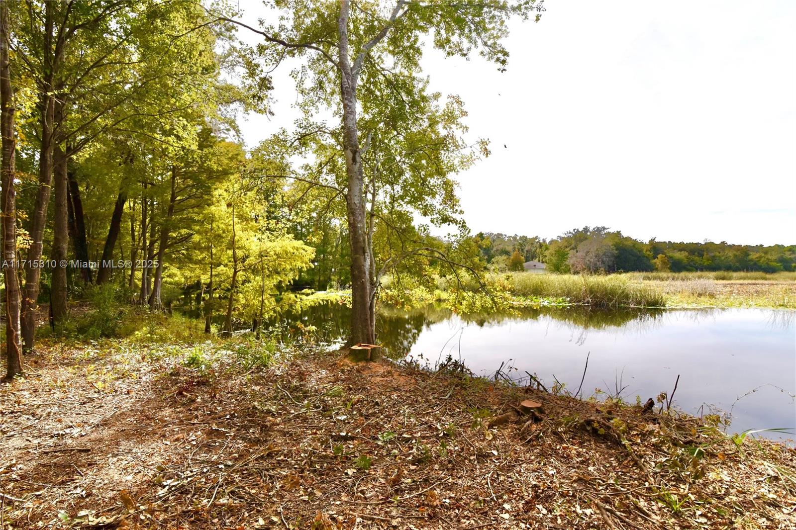 6435 N SHOREWOOD DR.