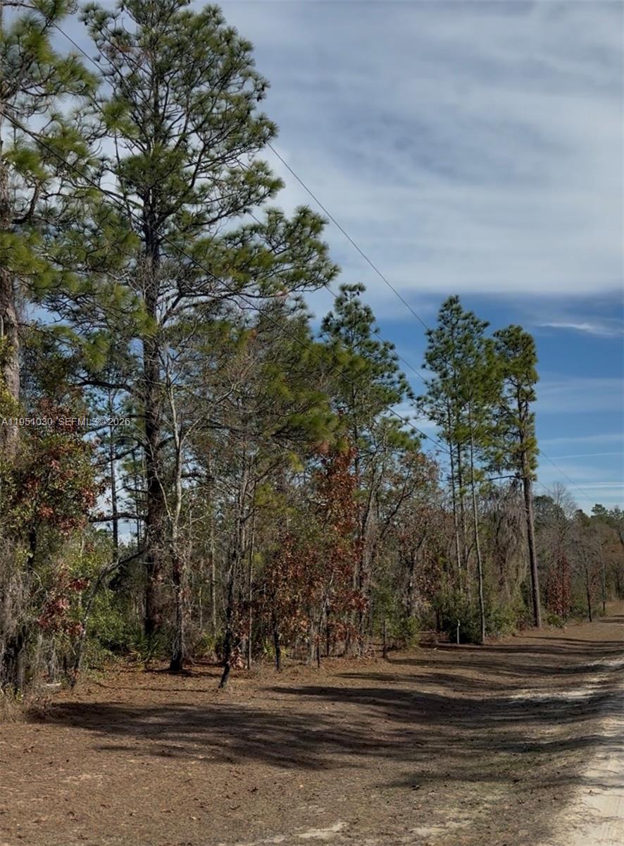 FOREST PARK UNIT 3 PHASE - Land