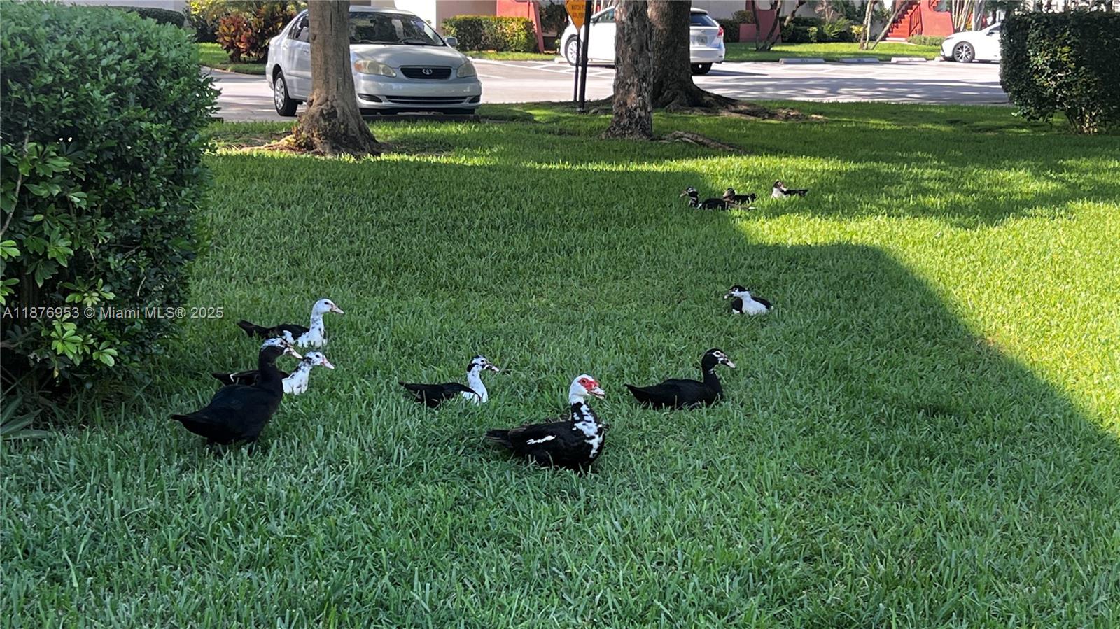 HOLLYBROOK GOLF AND - Residential