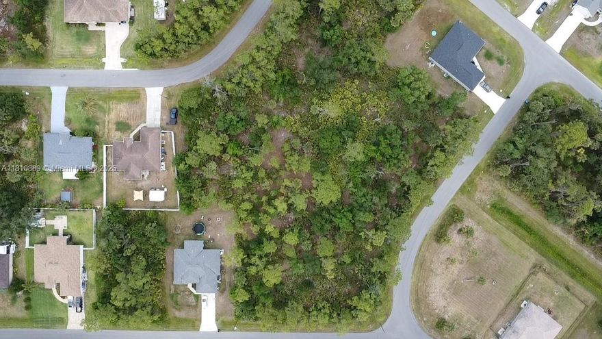 Build your dream home on this oversized vacant lot—an excellent investment opportunity for investors or anyone looking to construct a custom single-family residence. Located in a non-flood zone, this lot offers flexibility in design with an electric pole on-site for convenience. No gopher tortoises or burrows have been observed, ensuring a smooth path to development. Prime location near I-75, just 30 minutes from the beach, and close to shopping, parks, and social areas. Perfect for a custom home, investment property, or future development. build your home, custom home lot, vacant lot, investment opportunity, non-flood zone, oversized lot, ready to build, prime location, near I-75, beach access, development opportunity.