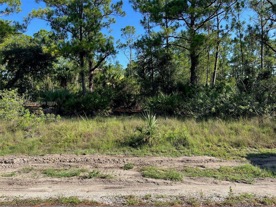 Nice  lot in Lehigh Acres ready to be developed close to shopping and schools.