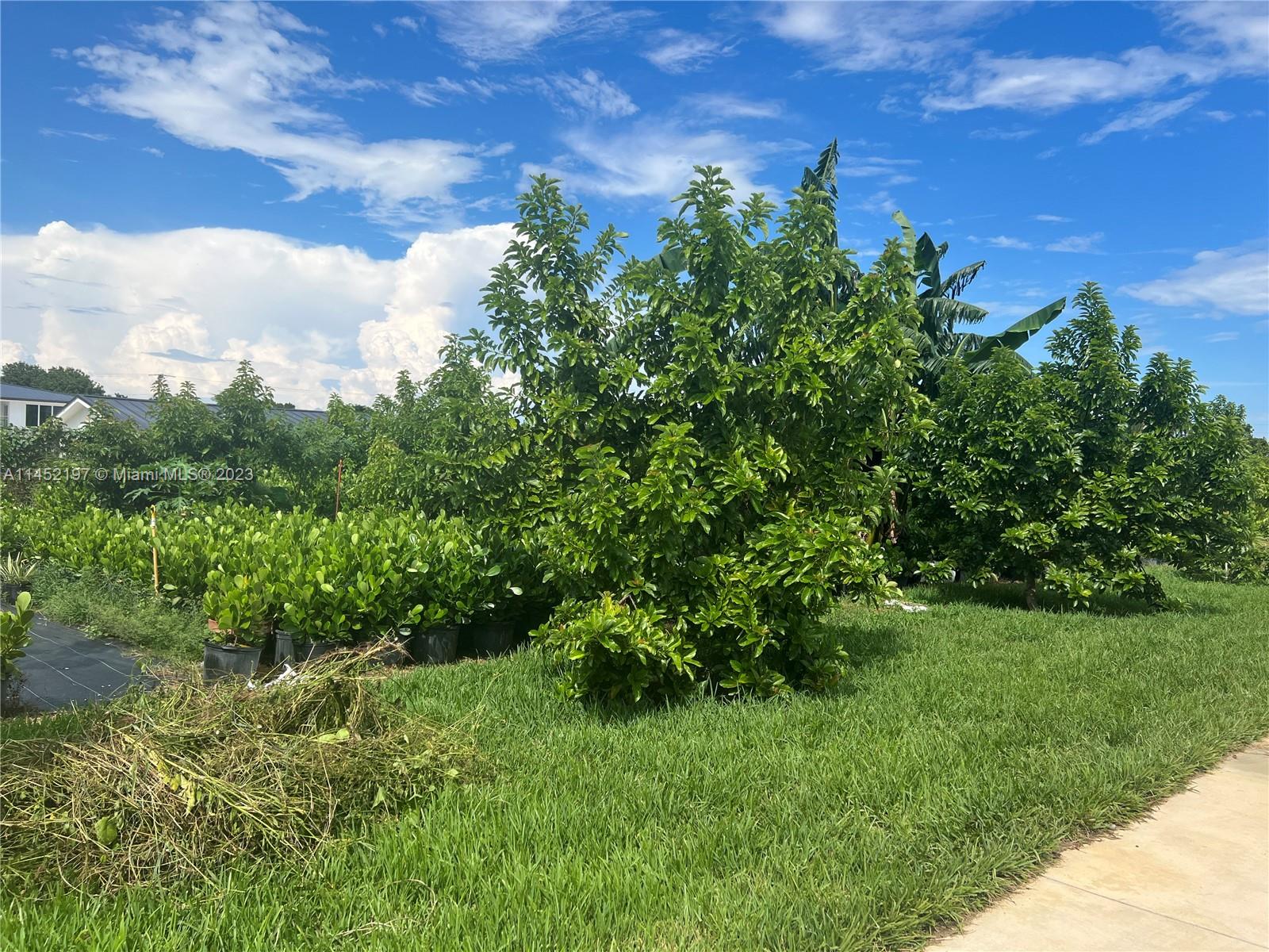 BIRD ROAD FARMSITES - Residential