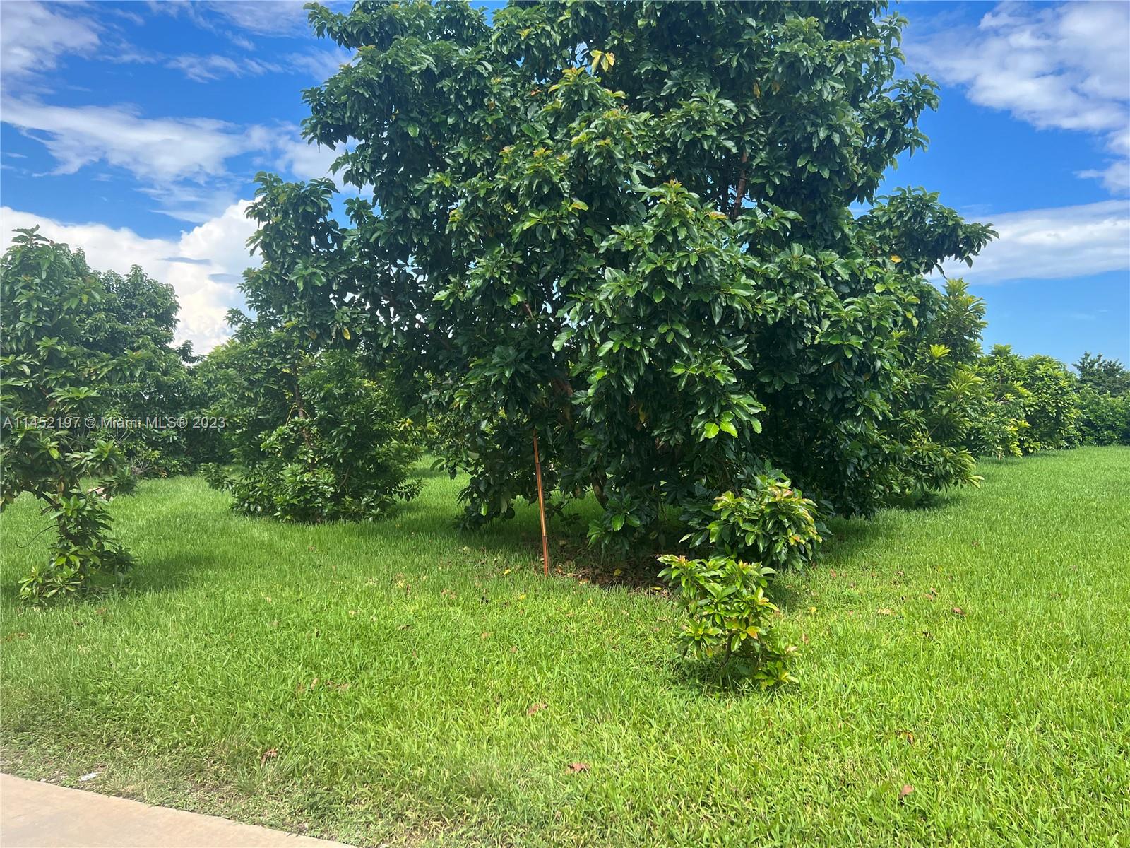 BIRD ROAD FARMSITES - Residential