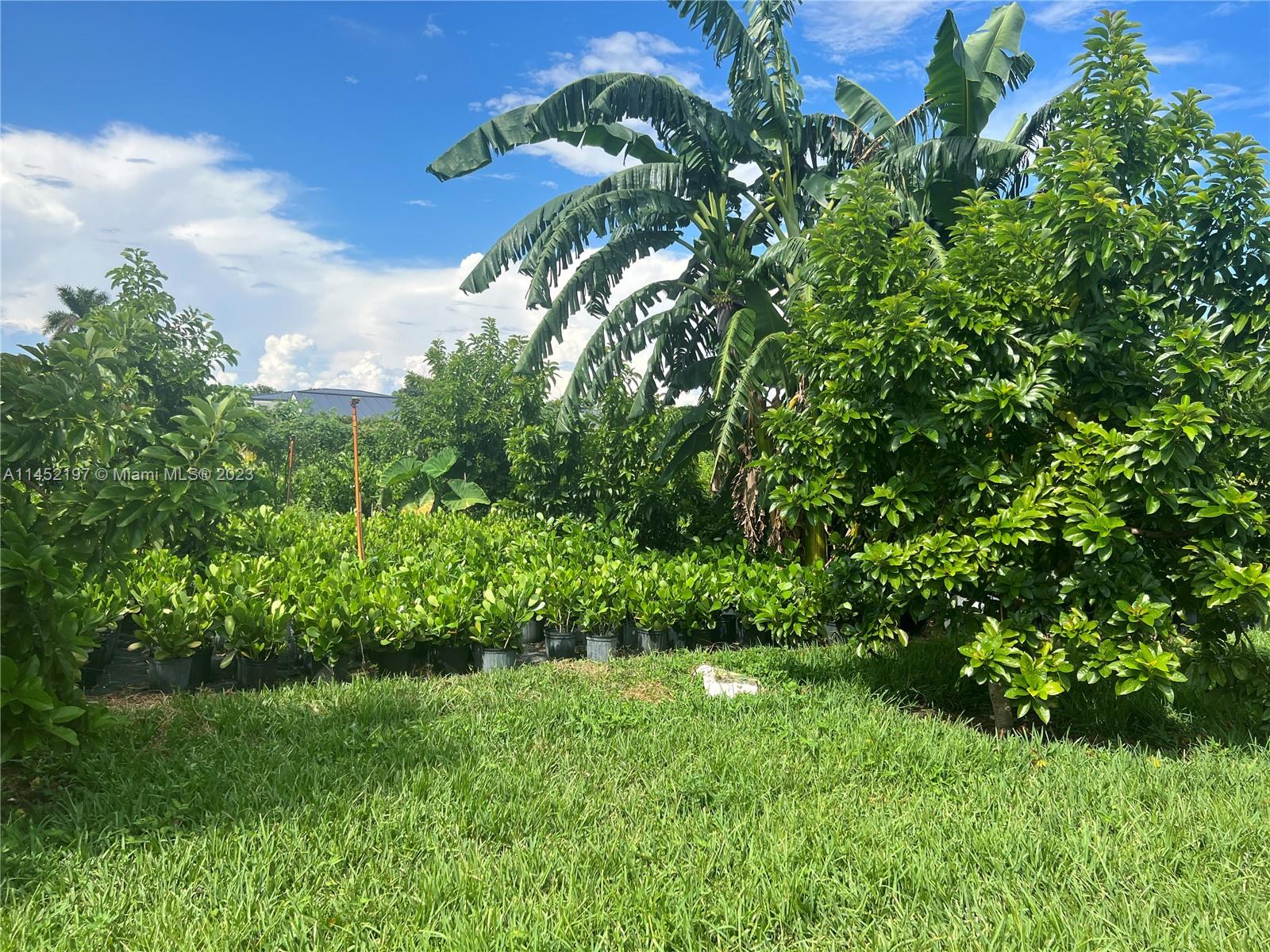 BIRD ROAD FARMSITES - Residential