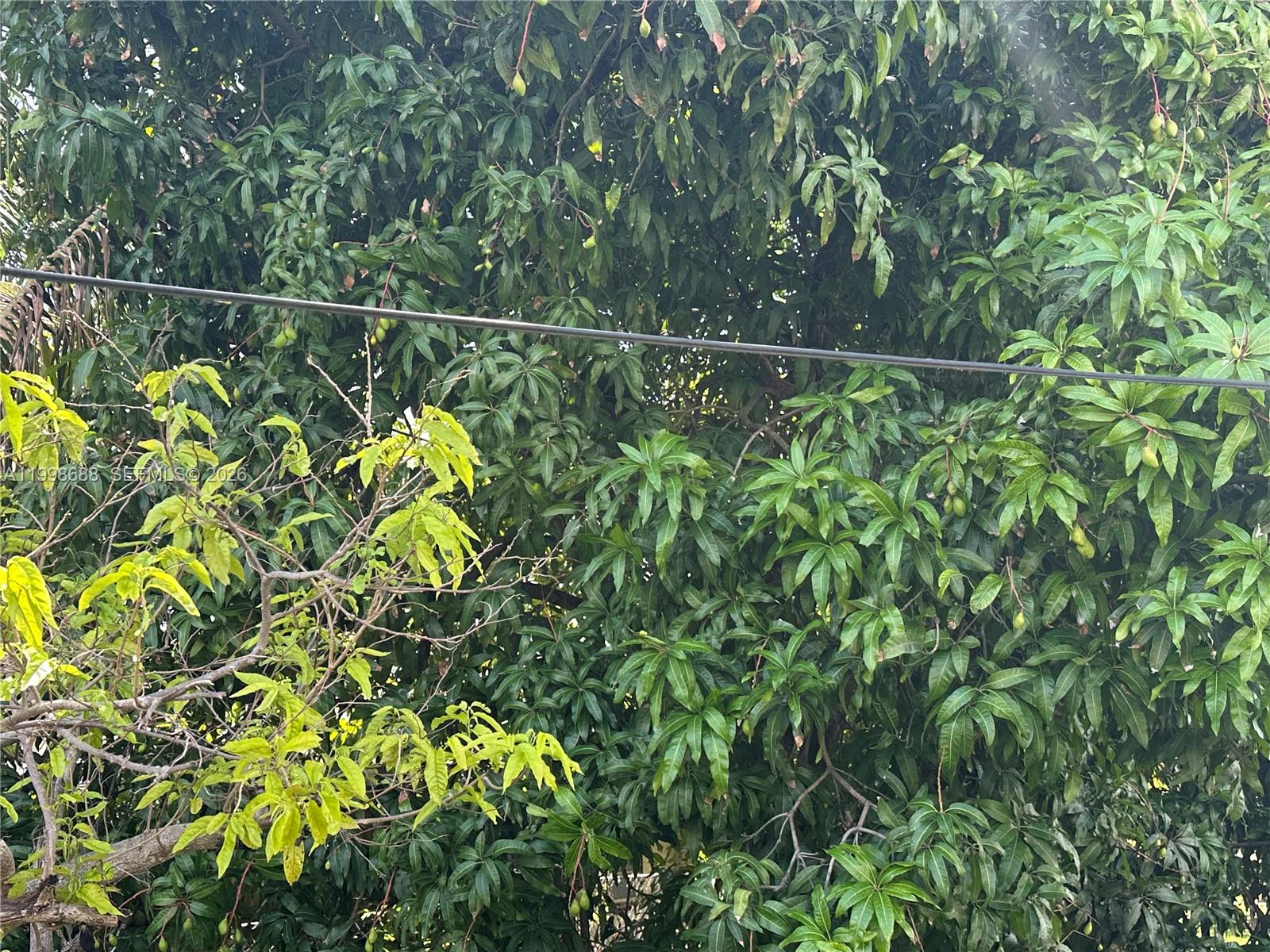 STEPHEN MANOR - Residential