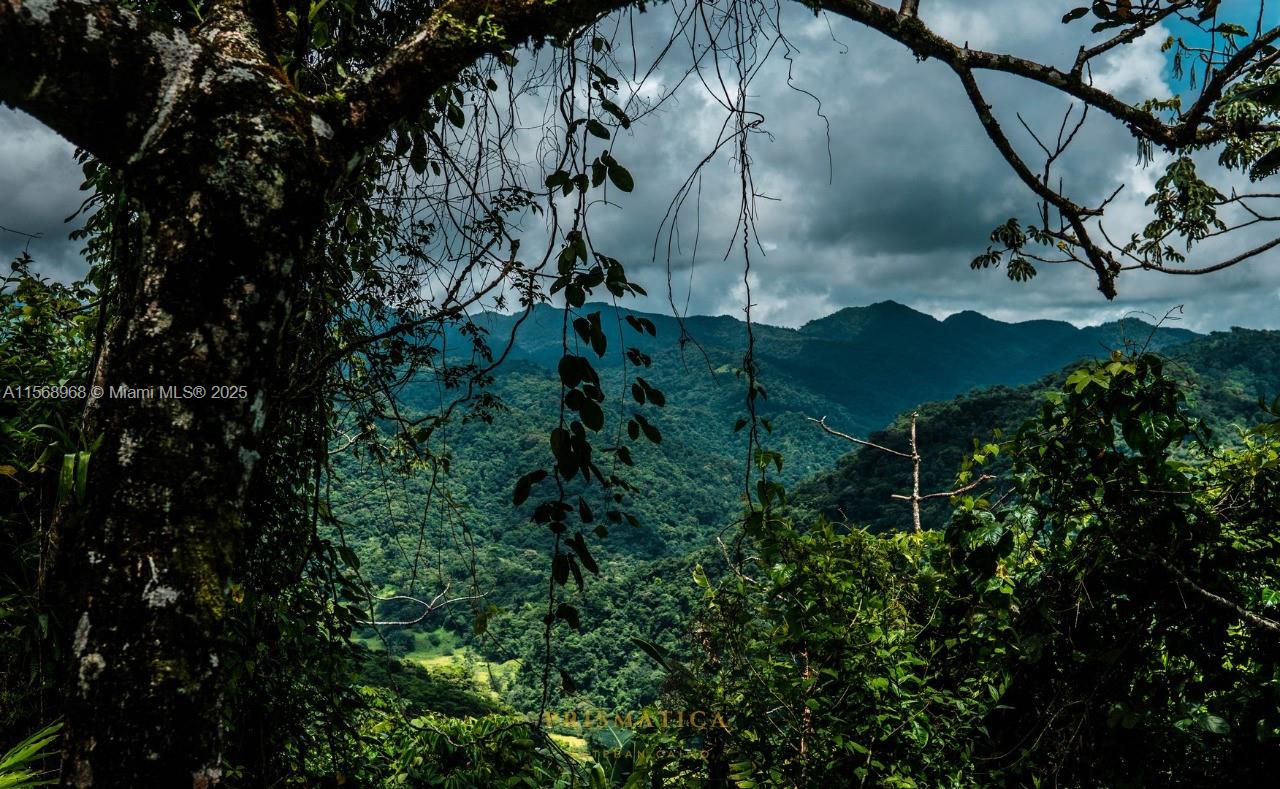 Ajauela, Costa Rica - Land