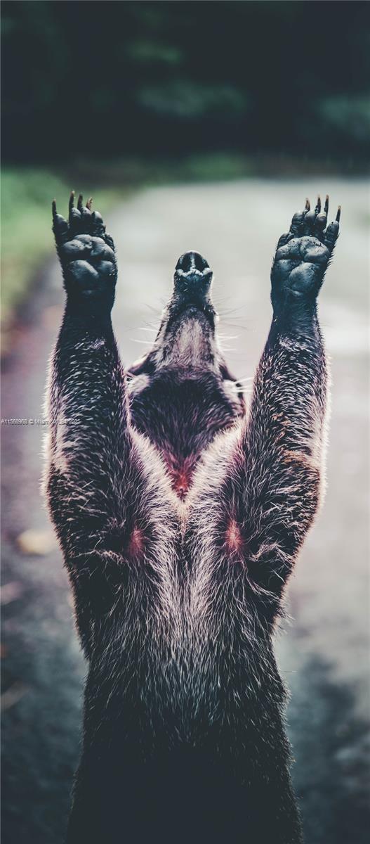 Ajauela, Costa Rica - Land