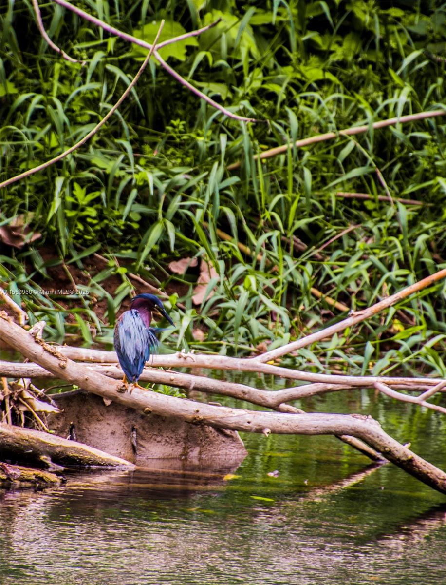 Ajauela, Costa Rica - Land