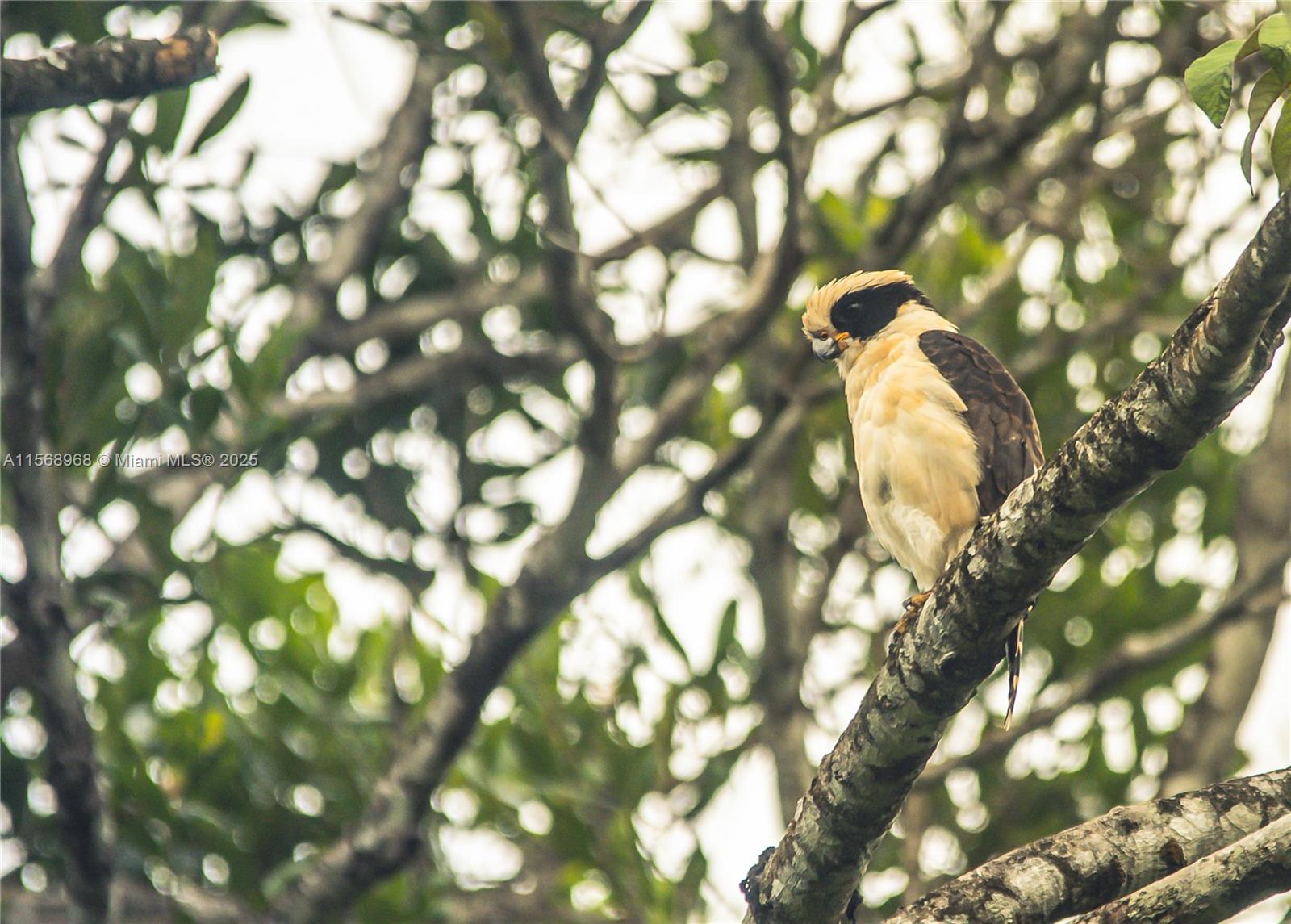 Ajauela, Costa Rica - Land