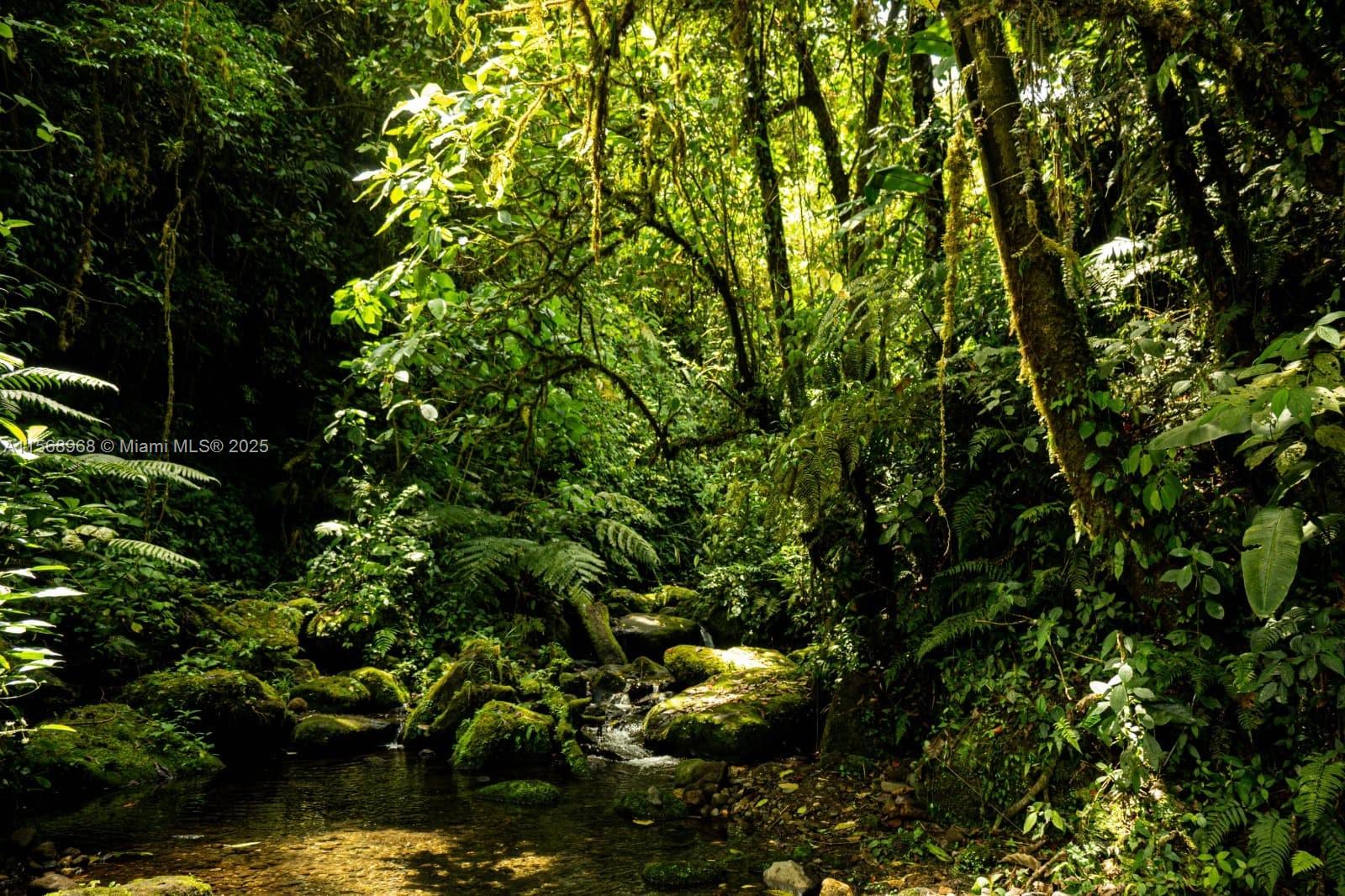 Ajauela, Costa Rica - Land