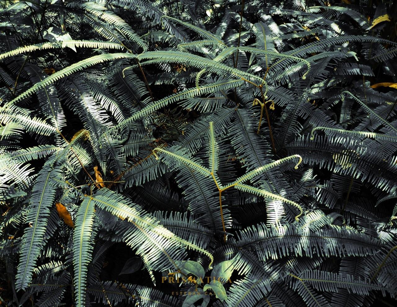 Ajauela, Costa Rica - Land