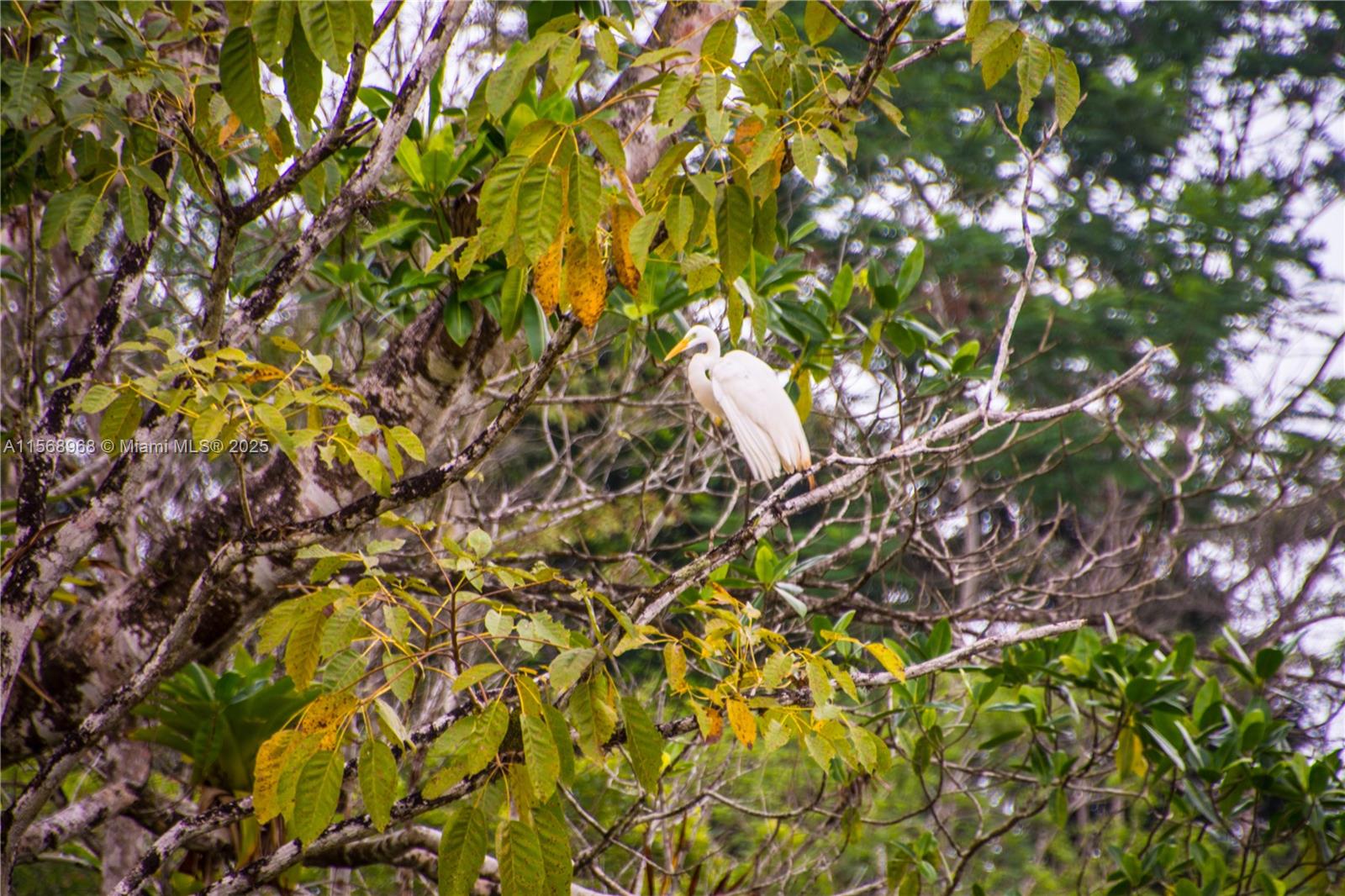 Ajauela, Costa Rica - Land