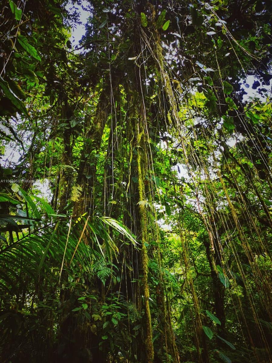 Ajauela, Costa Rica - Land