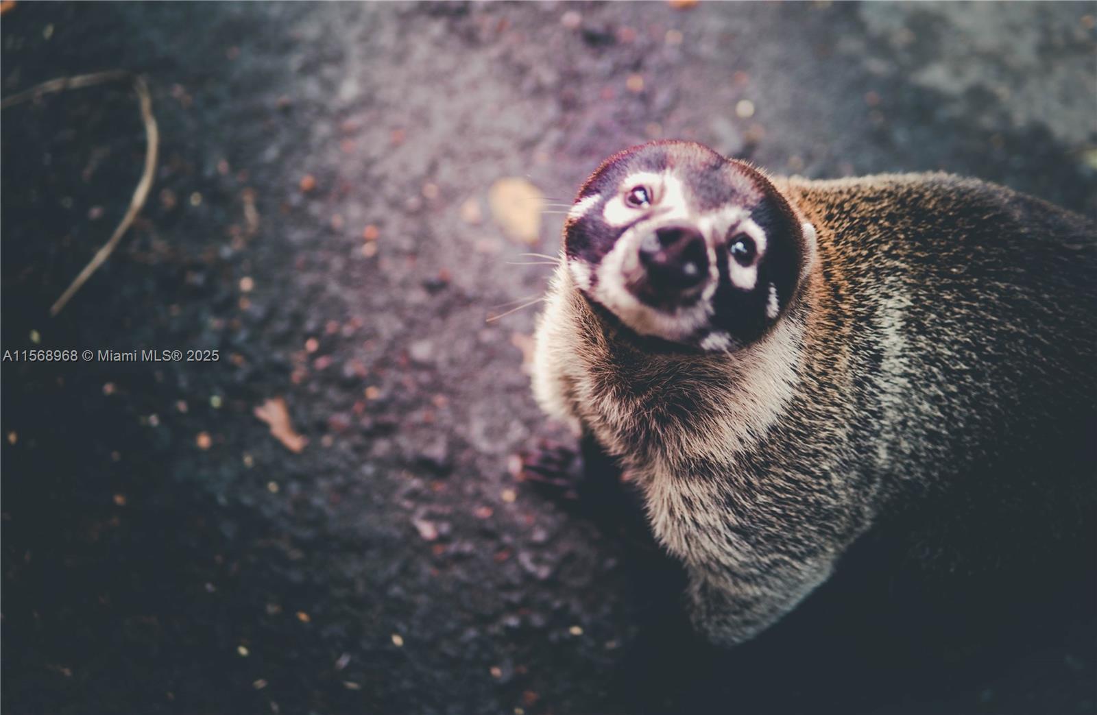 Ajauela, Costa Rica - Land