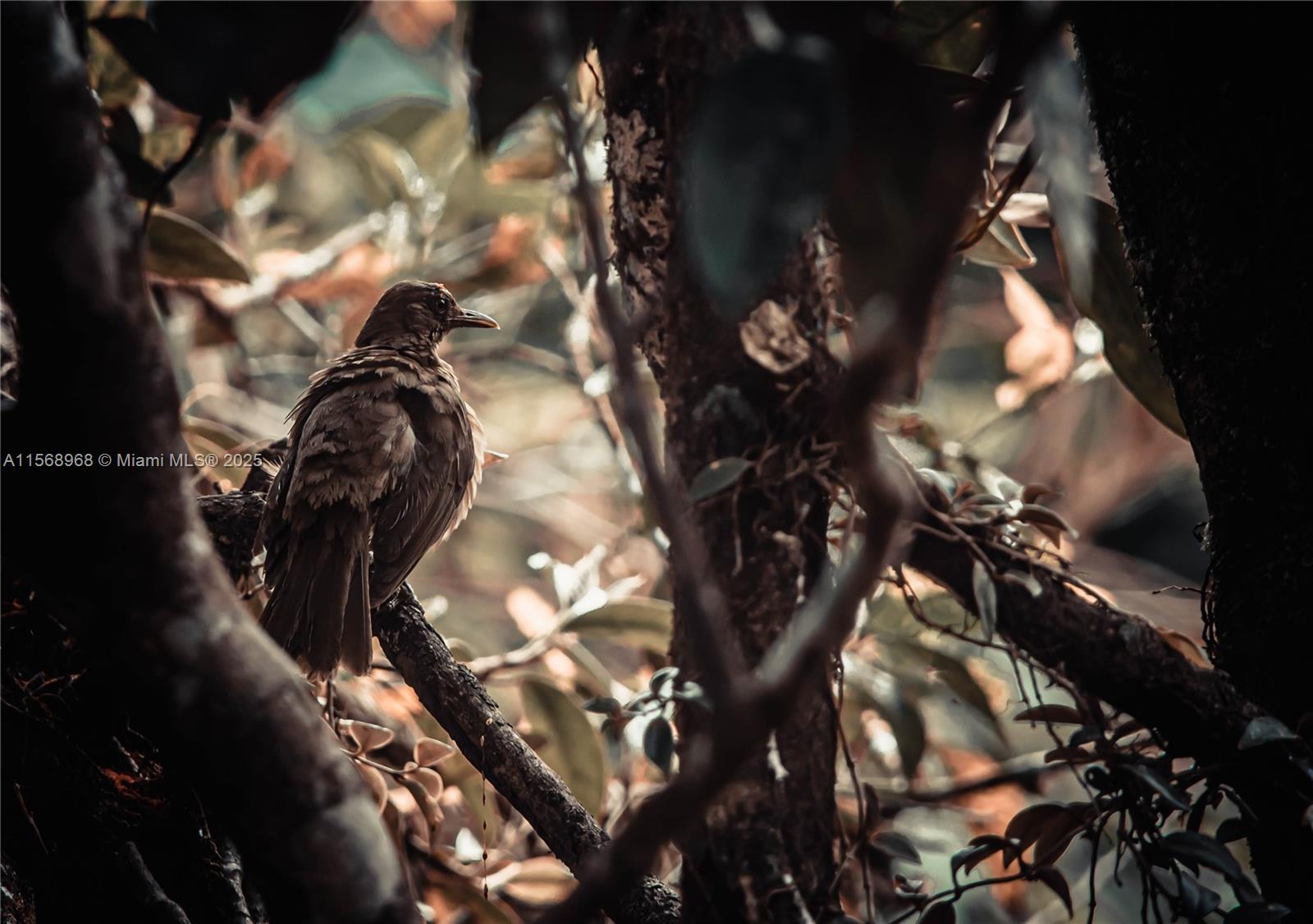 Ajauela, Costa Rica - Land