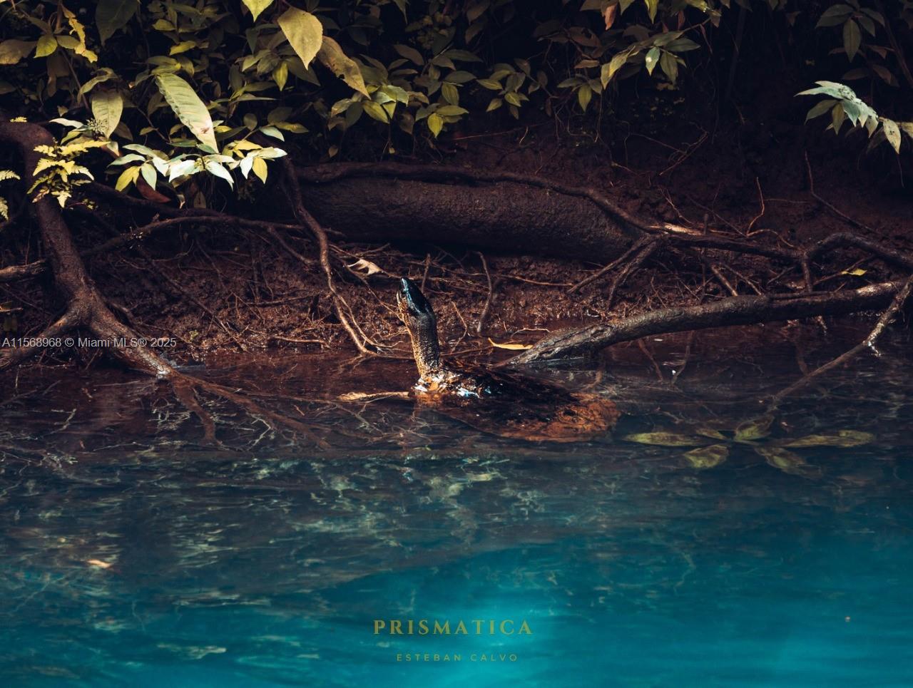 Ajauela, Costa Rica - Land