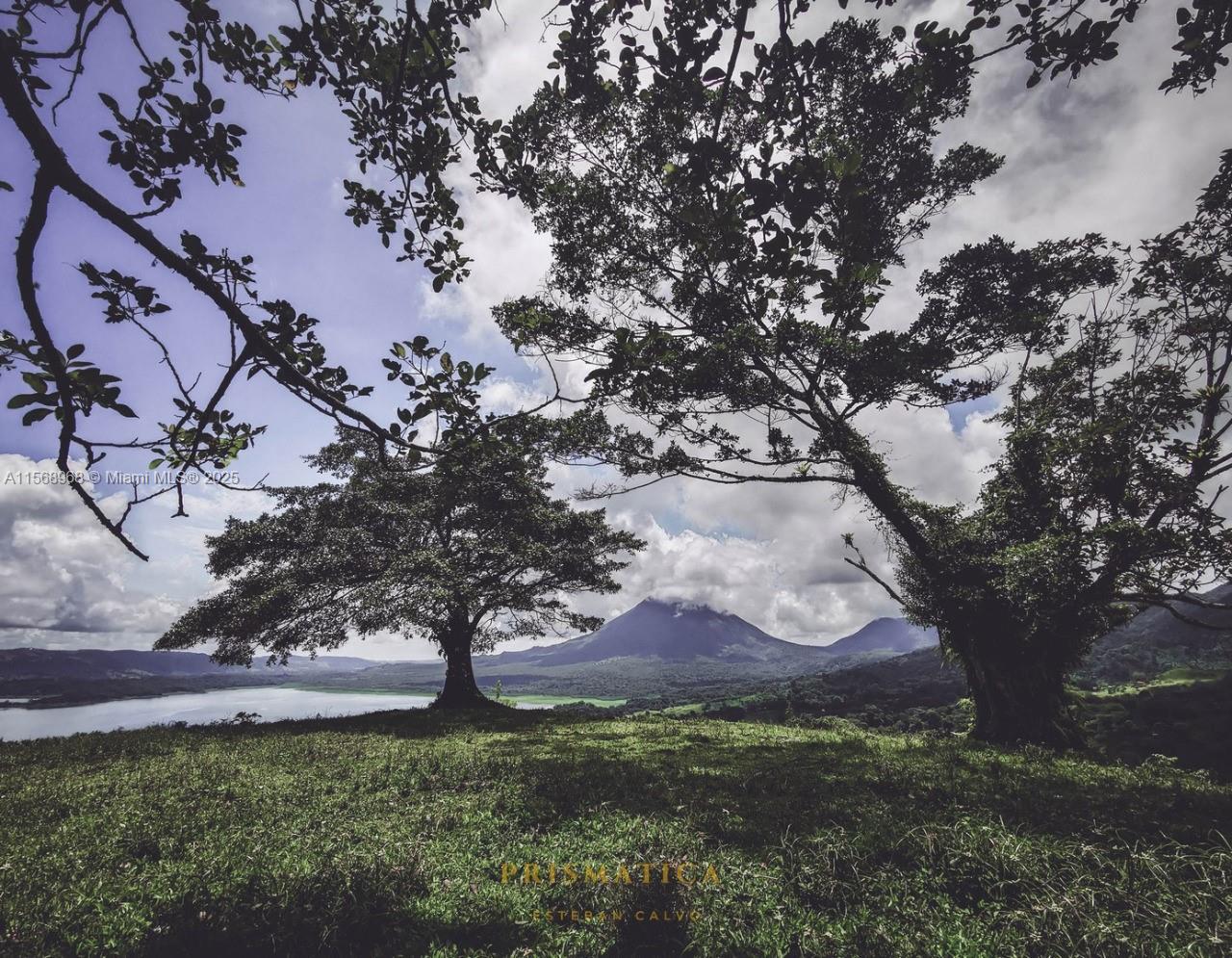 This enormous piece of land of 42 acres is located in El Castillo, San Ramon town in Alajuela, Costa Rica. This area has its own water source. It is surrounded by a river on the south side. There are many uses for the terrain: could be a sustainable hotel, biological station, US tourist project or even a spa with thermal water. Land is suitable and ready for residential construction or other type of construction. There are several viewpoints with 360 degrees of Arenal Volcano and Arenal lake, Chato hills, Fortuna tourist hotspot and other volcanoes. Its unparallel location includes surrounded by the natural reserve of Monteverde, Forest Alberto Brene and famous Arenal Volcano National park.