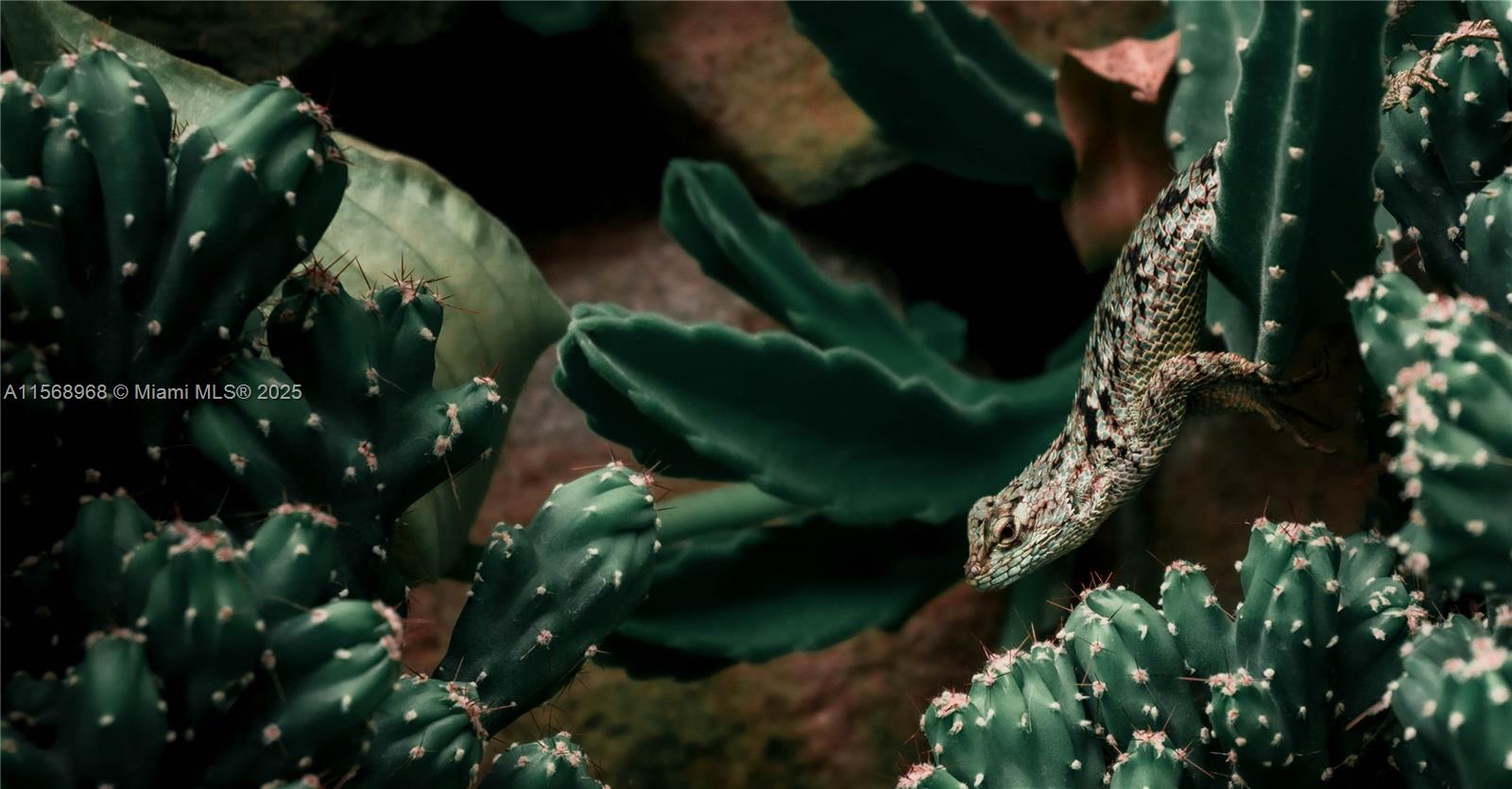 Ajauela, Costa Rica - Land