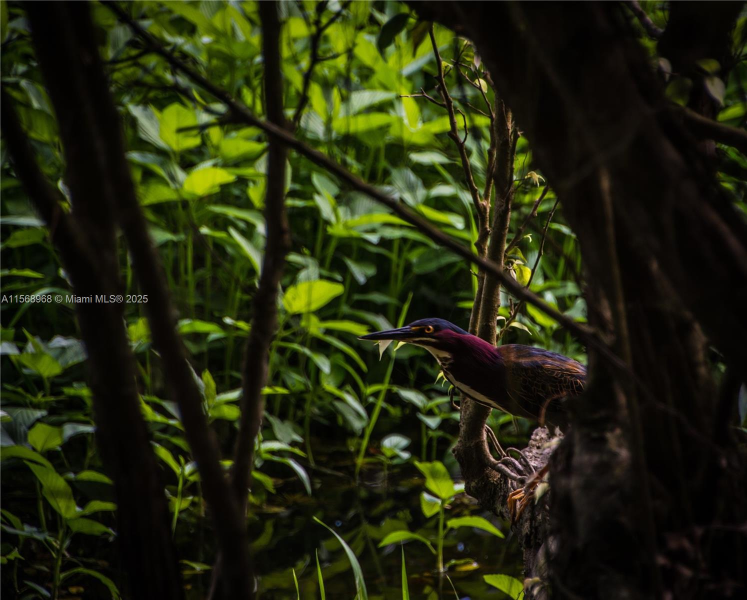 Ajauela, Costa Rica - Land