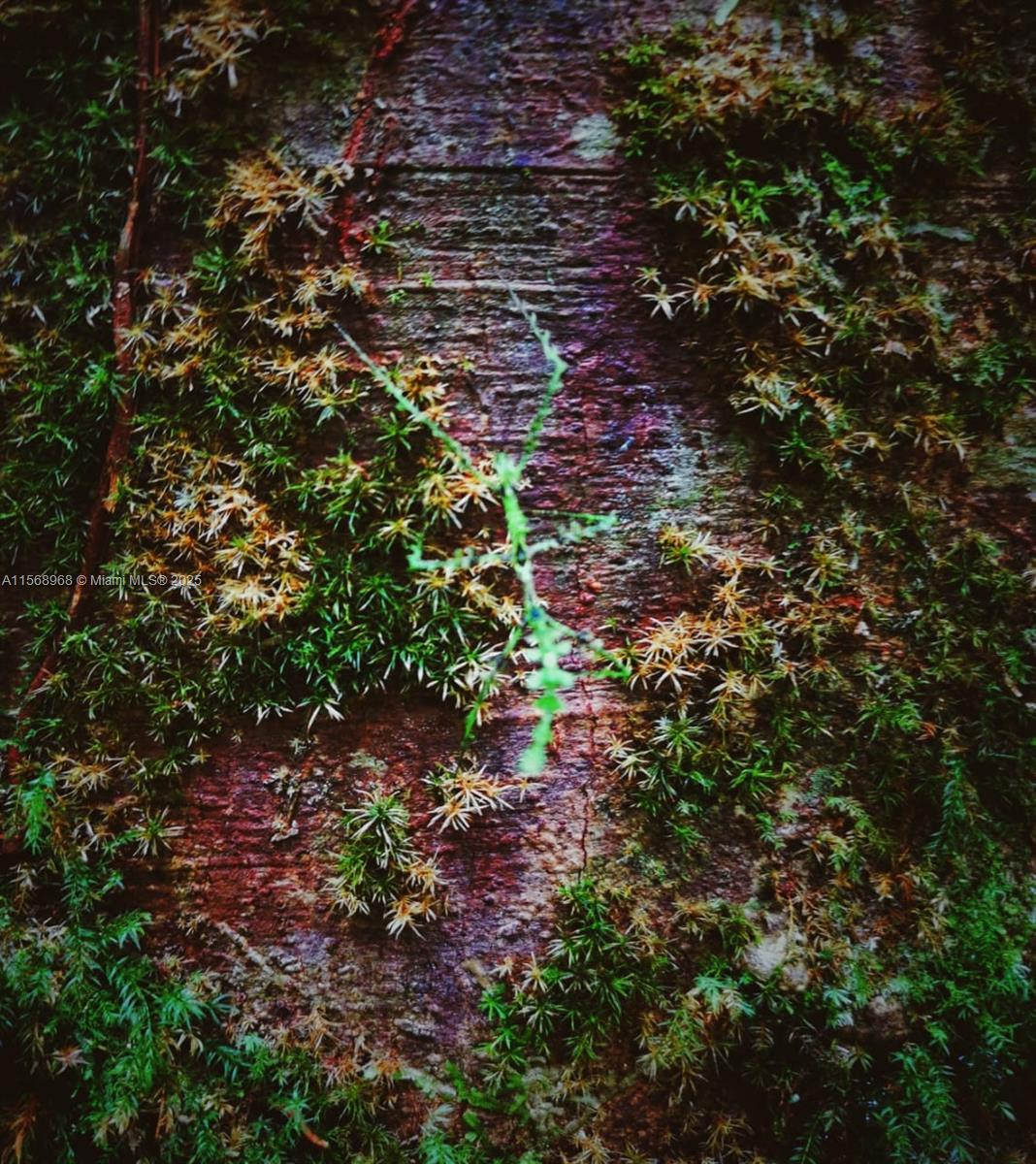 Ajauela, Costa Rica - Land