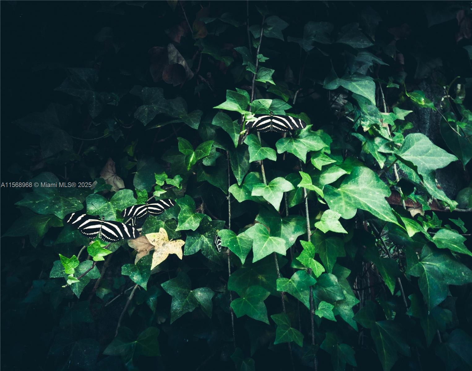 Ajauela, Costa Rica - Land