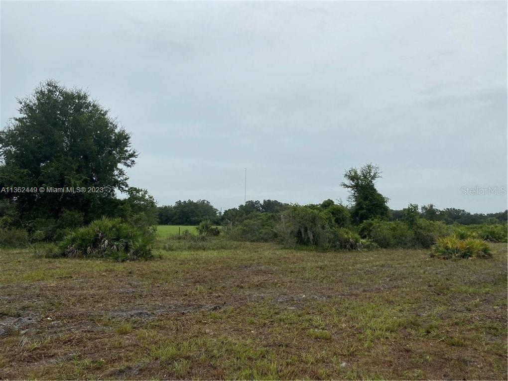 ARCADIA - Commercial Sale