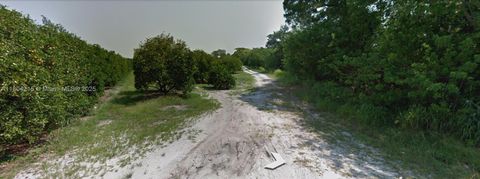 244 Jamison Avenue Lake Placid FL 33852