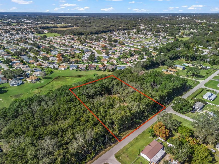 Claim your own 1.8-acre slice of Florida freedom on SE 99th Ave in Summerfield—perfectly positioned just minutes outside The Villages, one of the fastest-growing and most desirable areas in the region. Tucked away on a quiet paved road with quick access to US-441, this property offers an unbeatable blend of privacy and convenience. Whether you’re planning your future homesite, creating a peaceful retreat, or securing a smart long-term investment, this spacious lot gives you the room and flexibility to bring your vision to life. At $160,000, this is an exceptional opportunity to own a well-located, generously sized parcel in a rapidly growing area—grab it while you can!