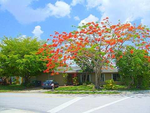 WINSTON PARK 4/4 ON FULLY FENCED LOT. GREAT HOME PRICED FOR QUICK SALE. AMENITIES INCLUDE POOLS, CLUBHOUSE, TENNIS, ETC. TEXT L/A TO SHOW. 24 HOUR NOTICE REQUIRED.