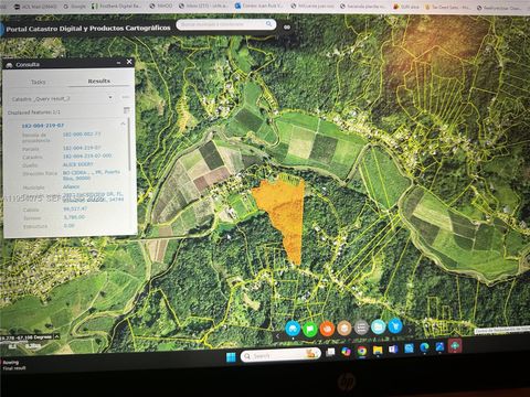 W CARR 342 KM 1.6 BARRIO CIDRA ANASCO Anasco  00623